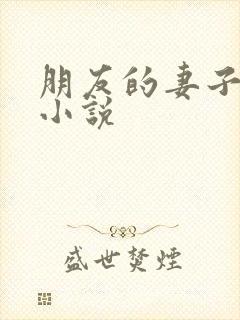 朋友的妻子交换小说