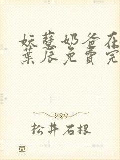 妖孽奶爸在都市叶辰免费完结版阅读