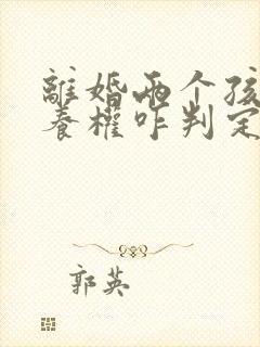 离婚两个孩子抚养权咋判定