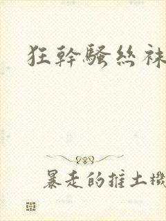 狂干骚丝袜美女