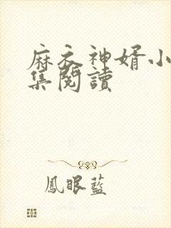 麻衣神婿小说全集阅读