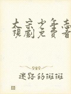 大宋少年志2电视剧免费看封面