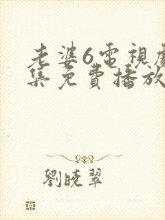 老婆6电视剧全集免费播放西瓜