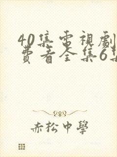 40集电视剧免费看全集6集封面