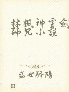 林枫神霄剑宗大师兄小说