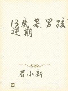 13岁是男孩叛逆期封面