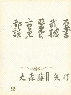 都市医武至尊小说免费听书