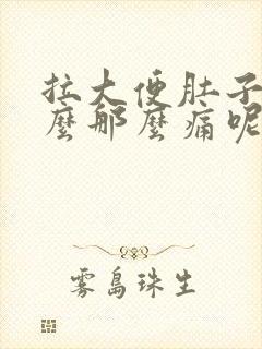 拉大便肚子为什么那么痛呢封面