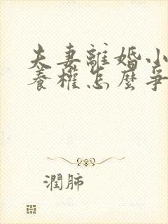 夫妻离婚小孩抚养权怎么争取