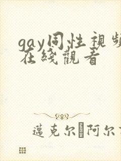 gay同性视频在线观看