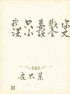 我只喜欢你的人没小说全文免费阅读封面