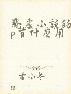 飞卢小说的vip有什么用