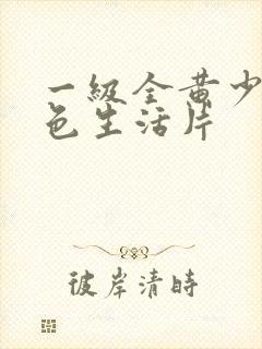 一级全黄少妇泄色生活片封面