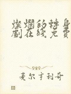 灿烂的转身电视剧在线免费观看