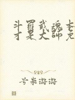 斗罗武魂本体我才是大师免费阅读封面