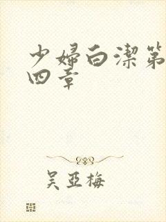 少妇白洁第二十四章