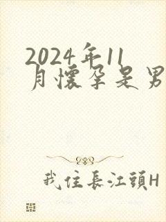 2024年11月怀孕是男孩还是女孩