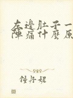 左边肚子一阵一阵痛什么原因