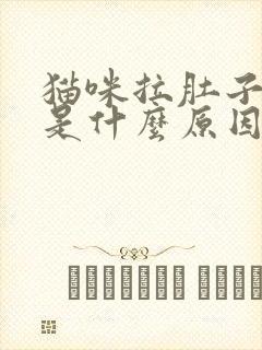 猫咪拉肚子呕吐是什么原因引起的呢封面