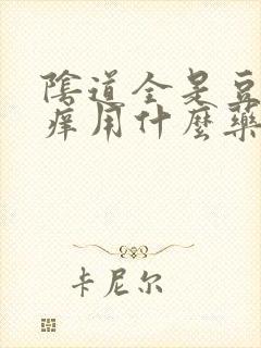 阴道全是豆腐渣痒用什么药