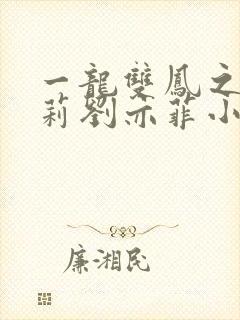 一龙双凤之刘晓莉刘亦菲小说