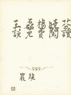 王磊杨晓芬的小说免费阅读全文封面