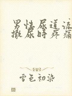 男性尿道流脓水撒尿时疼痛封面