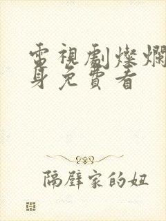 电视剧灿烂的转身免费看