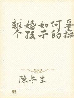 离婚如何争取两个孩子的抚养权封面