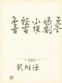 年轻小妈免费观看电视剧全集下载安装封面