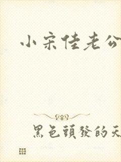 小宋佳老公王伟