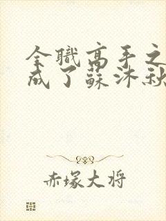 全职高手之我穿成了苏沐秋