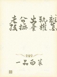 老公出轨离婚小孩抚养权怎么判定