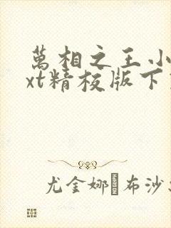 万相之王小说txt精校版下载