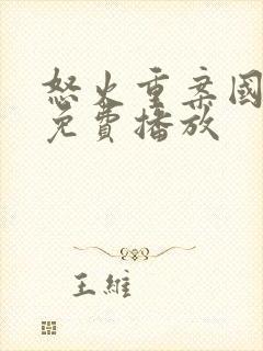 怒火重案国语版免费播放