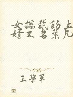 女总裁的上门女婿又名叶凡封面