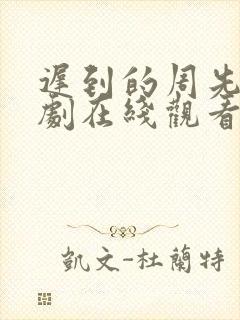 迟到的周先生短剧在线观看封面