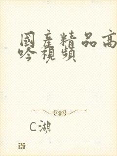 国产精品高潮呻吟视频