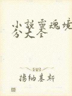 小说灵魂境界划分大全