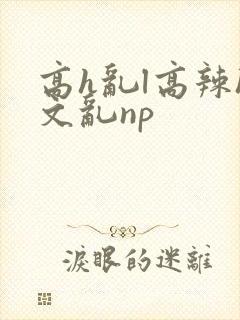 高h乱l高辣h文乱np