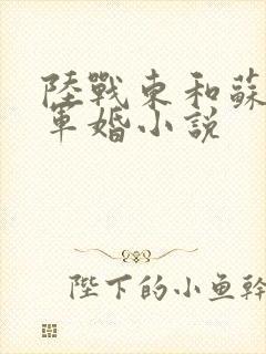 陆战东和苏灿的军婚小说