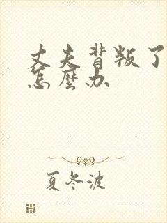 丈夫背叛了我我怎么办封面