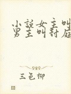 小说女主叫容辞男主叫封庭深小说免费阅读