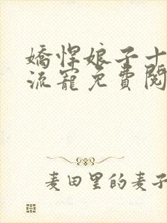 娇悍娘子十夫轮流宠免费阅读全文