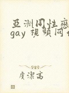 亚洲同性恋男 gay 视频网站