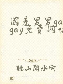 国产男男gaygay免费网站