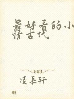 最好看的小说言情古代封面