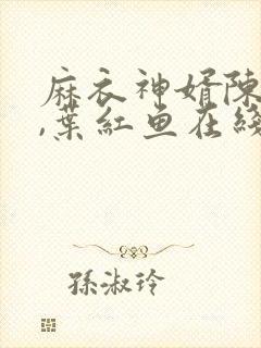 麻衣神婿陈黄皮,叶红鱼在线免费阅读