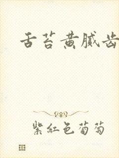 舌苔黄腻齿痕重