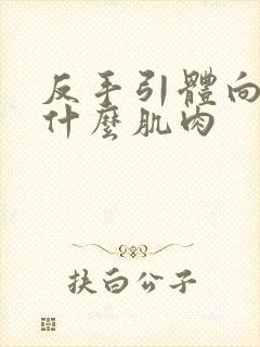 反手引体向上练什么肌肉封面